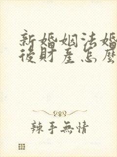 新婚姻法婚前婚后财产怎么分割