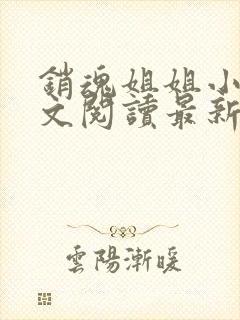 销魂姐姐小说全文阅读最新章节列表