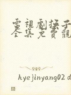 电视剧换子成龙全集免费观看42集