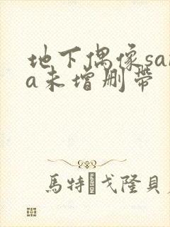 地下偶像sana未增删带