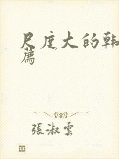 尺度大的韩剧推荐封面