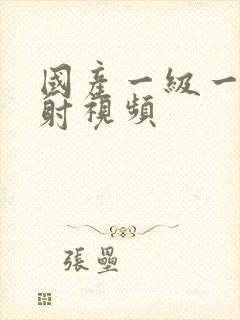 国产一级一片内射视频