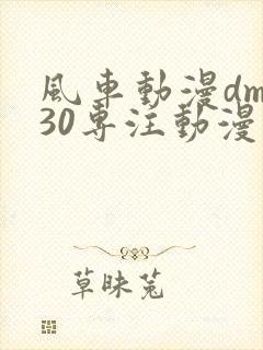 风车动漫dm530专注动漫的门户