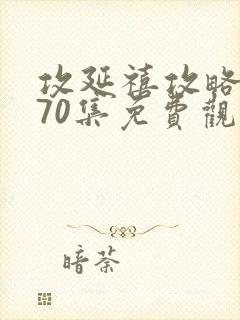 攻延禧攻略1到70集免费观看