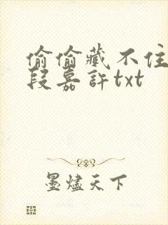 偷偷藏不住桑稚段嘉许txt