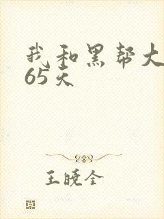 我和黑帮大佬365天封面