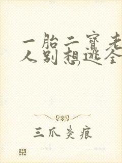 一胎二宝老婆大人别想逃全文免费阅读