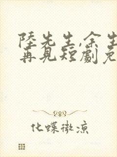 陆先生,余生不再见短剧免费观看全集