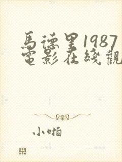 马德里1987电影在线观看封面