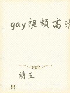 gay视频高清