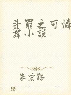 斗罗之可怜的小舞小说封面