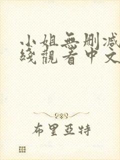 小姐无删减版在线观看中文封面