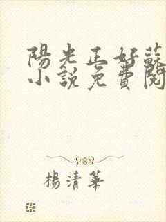 阳光正好苏玥玥小说免费阅读无弹窗封面