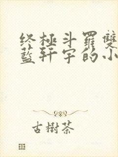 终极斗罗双男主蓝轩宇的小说