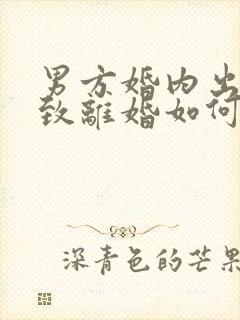 男方婚内出轨导致离婚如何分割财产封面