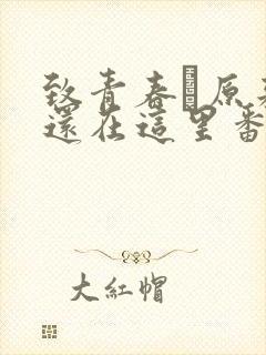 致青春·原来你还在这里番外篇