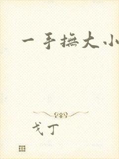 一手抚大小说