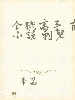 全职高手 有声小说 刺儿