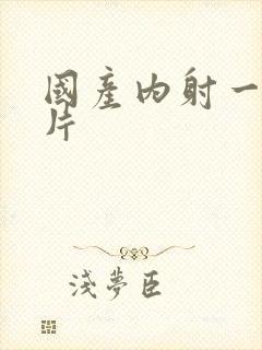 国产内射一级一片