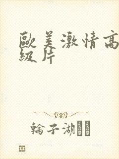 欧美激情高清一级片封面