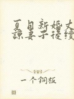 夏目新婚丈夫原谅妻子后续封面