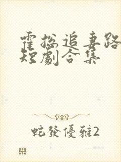 霍总追妻路漫漫短剧合集