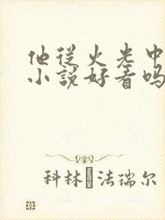 他从火光中走来小说好看吗