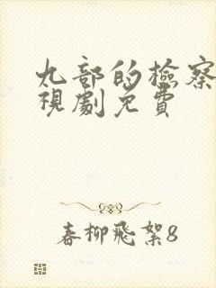 九部的检察官电视剧免费