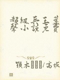 超级兵王叶谦有声小说免费收听