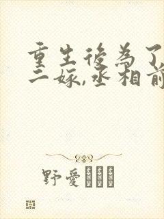 重生后为了赎罪二嫁,丞相前夫却疯了