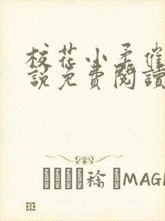 校花小柔催眠小说免费阅读无弹窗封面