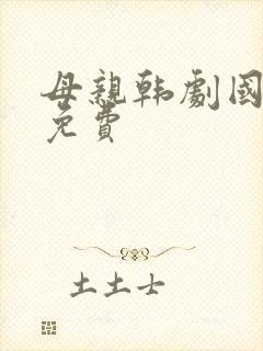 母亲韩剧国语版免费封面