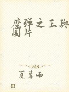 魔弹之王与战姬图片