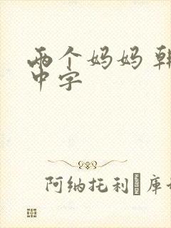 两个妈妈 韩语中字