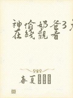 神偷奶爸3免费在线观看