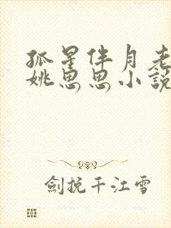 孤星伴月老姚和姚思思小说