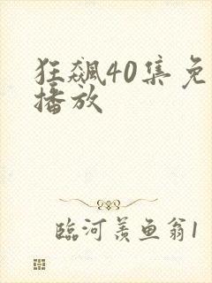 狂飙40集免费播放