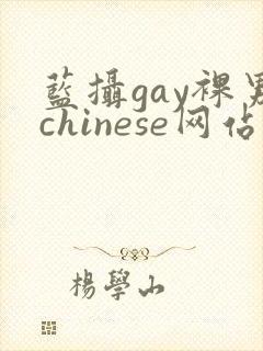 蓝摄gay裸男chinese网站