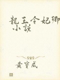 龙王令妃卿莫属 小说