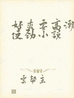 好爽要高潮了快使劲小说