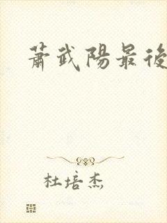 萧武阳最后结局