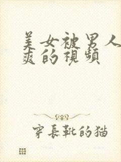 美女被男人操到爽的视频