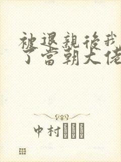 被退亲后我嫁给了当朝大佬 小说