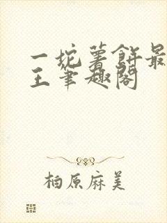 一坨薯饼最佳野王笔趣阁