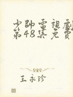 少帅电视剧全集第48集免费