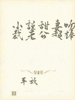 小说甜妻吻安总裁老公超棒的