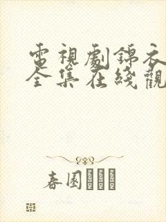 电视剧锦衣之下全集在线观看封面