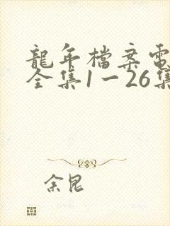 龙年档案电视剧全集1一26集封面