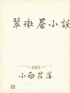 翠微居小说封面
