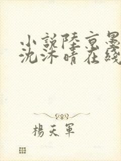 小说陆京墨沈意沈沐晴在线阅读封面